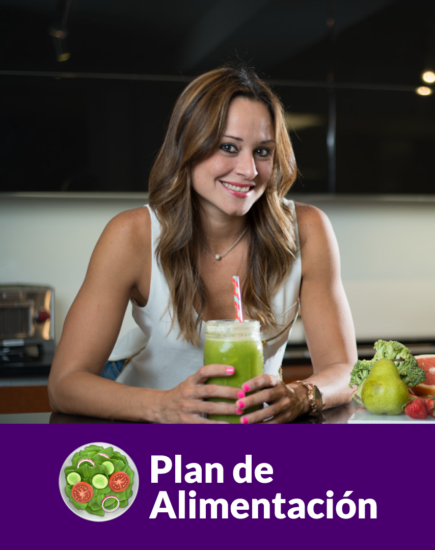 Plan de Alimentación